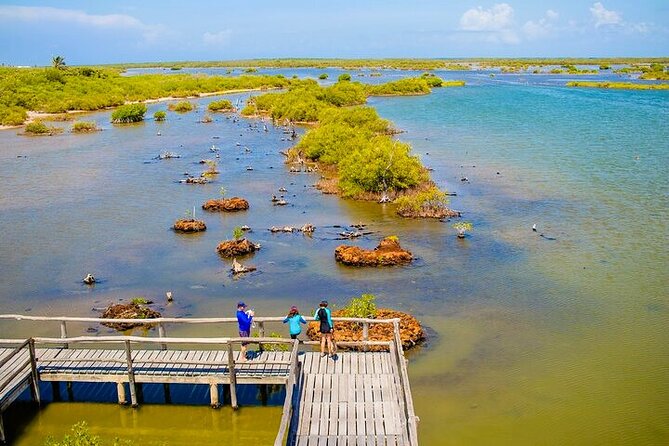 Jeep Safari All Inclusive Private Tour - East side photo stops: El Mirador and Playa San Martín in 15 minutes each