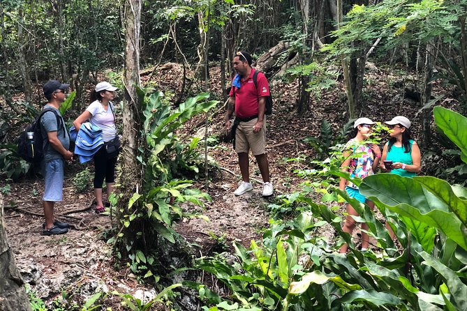 Jungle Jeep Adventure to Mayan Caves, Cenote and Snorkel - El Cedral: Mayan temple views plus the first church in Cozumel