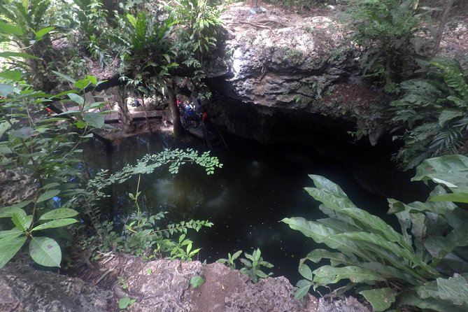 Jungle Jeep Adventure to Mayan Caves, Cenote and Snorkel - Mi Mexico Lindo tequila tour: tasting, stories, and a purchase decision