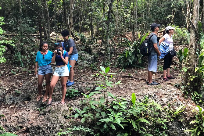 Jungle Jeep Adventure to Mayan Caves, Cenote and Snorkel - Cenote Aerolito de Paraiso and the Jade cave jump