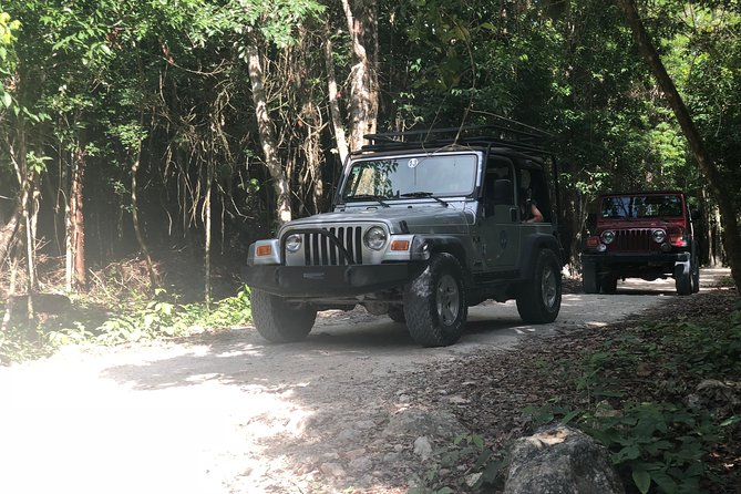 Jungle Jeep Adventure to Mayan Caves, Cenote and Snorkel - Jeep logistics: driving, comfort, and the off-road reality