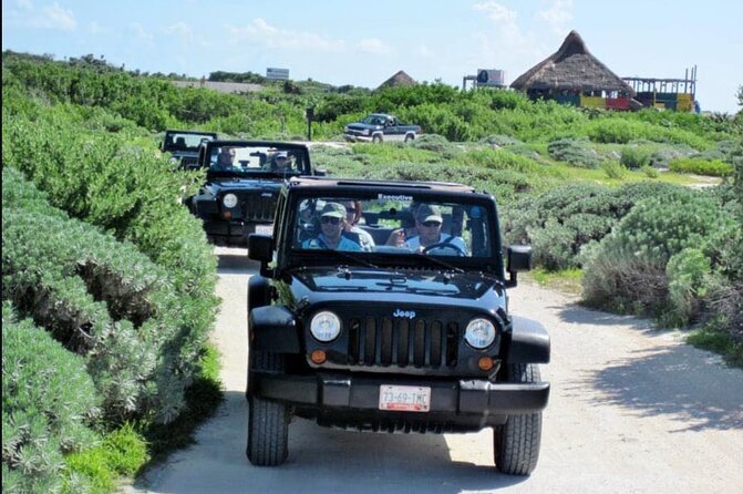 Last Minute Tour : Cozumel to Your Rhythm by Private Buggy - Price and value: what $71.43 buys you for 3 hours