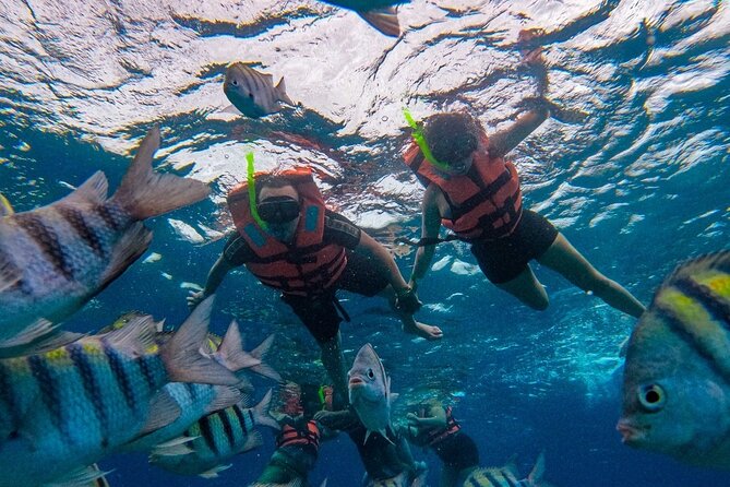 Magnificent Exploration to El Cielo Palancar and Columbia Reefs - Timing, boat rides, and why 4.5 hours can feel short