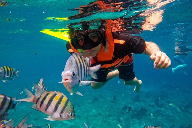 Magnificent Exploration to El Cielo Palancar and Columbia Reefs - Included food and drinks, and the parts that can add comfort