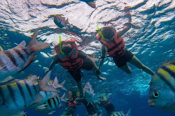 Magnificent Exploration to El Cielo Palancar and Columbia Reefs - Language and guide style, how to avoid a frustrating day