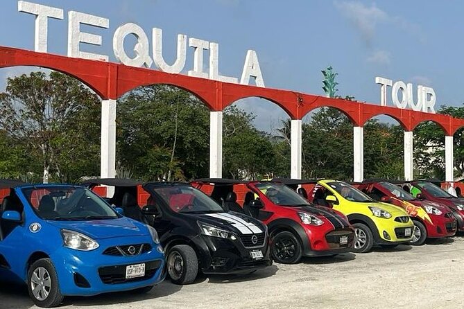 Mayan Adventure by Buggy : Explore Ruins & Culture Park - Key things to know before you go