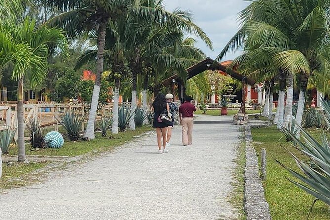 Mayan Adventure by Buggy : Explore Ruins & Culture Park - Guides in English, and why Betto, Pablo, and Roberto got named