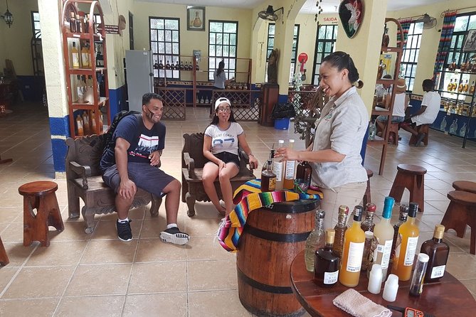 Mayan Village and Tequila Tour - Medicinal plants and the plant stories you will remember