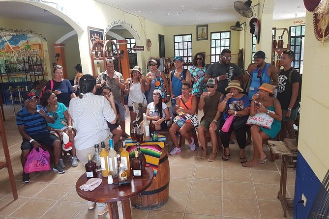 Mayan Village and Tequila Tour - Transportation, timing, and what your 2 hours likely feel like