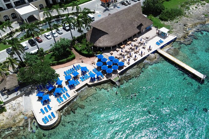 Money Bar Day Pass with Snorkel & Mexican Lunch - What Makes This Reef Stop Worth Your Time