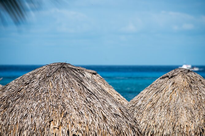 Mr. Sanchos Beach Club All-Inclusive Day Pass - Reserved beachfront zones, hammocks, and where you can actually relax