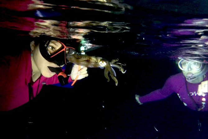 Night Snorkeling - Observation of octopus and other species - Wildlife Highlights You Can Actually Aim For