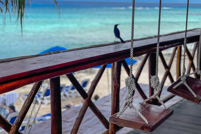 North Shore E-Bike & Beach Break - Stop 2 at Cocos Beach: kayaking, paddling, and lunch downtime