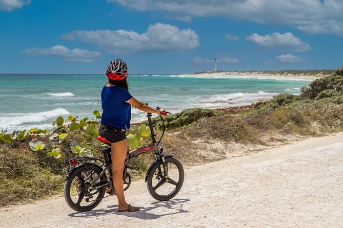 North Shore E-Bike & Beach Break - Stop 3, Mirador Puerto de Abrigo: the Riviera Maya view payoff