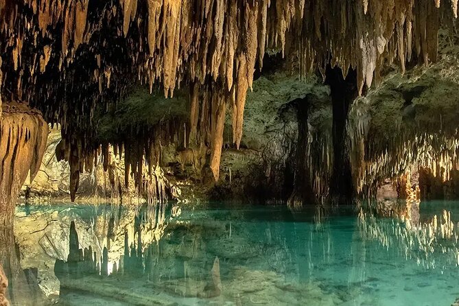 Off Road in Cozumel with ATVs, El Cedral Ruins and Cenote - Tequila tasting for adults 18+: learning that does not feel like a sales pitch