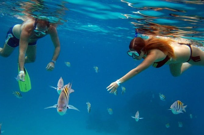 Official Chankanaab Park Day pass and Snorkel with Lunch included - From Shore to Reef, How the Guided Snorkel Works