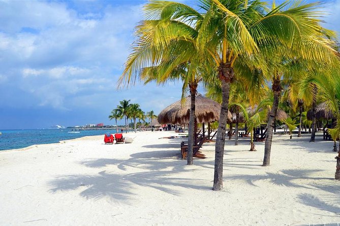 Official Chankanaab Park Day pass and Snorkel with Lunch included - Who This Tour Fits Best in Your Cozumel Plan