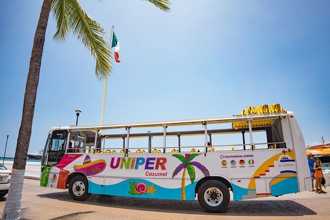 Open Top City Tour & Beach Break - Timing, Transfers, and the Big Cruise-Day Reality Check
