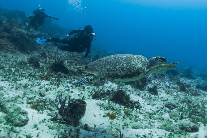Open Water Course Cozumel - Price and what you’re really paying for