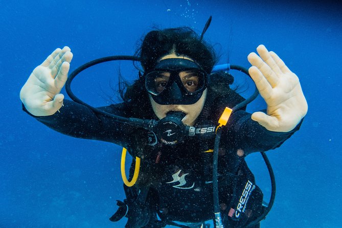 Open Water Course Cozumel - Marine conservation training that shows up in real habits
