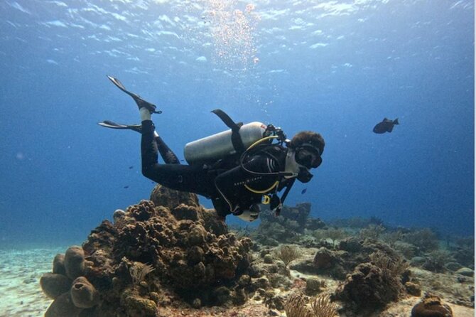 Open Water Diver Course - Key Highlights Worth Noticing