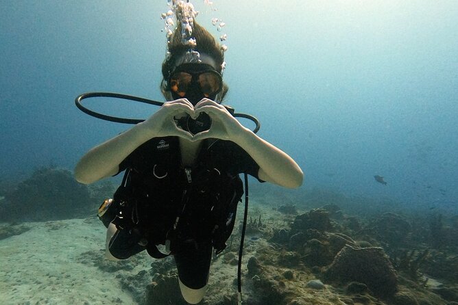 Open Water Diver Course - Planning Your Cozumel Course: Where You Meet and When It Runs