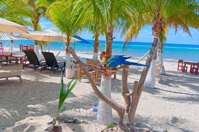 Otoch Mayan Experience Tour: Cultural & Historical Adventure - Tips to Make It Feel Like a Win