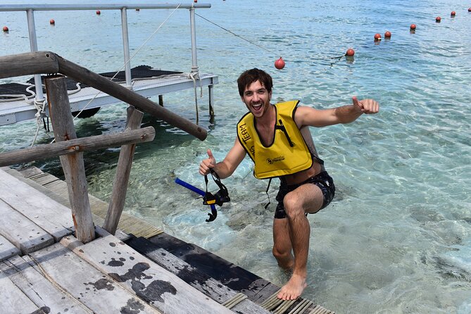 Playa Uvas Beach Club All-Inclusive Pass - Snorkeling in Cozumel: rocky entry, two ways in, and great fish
