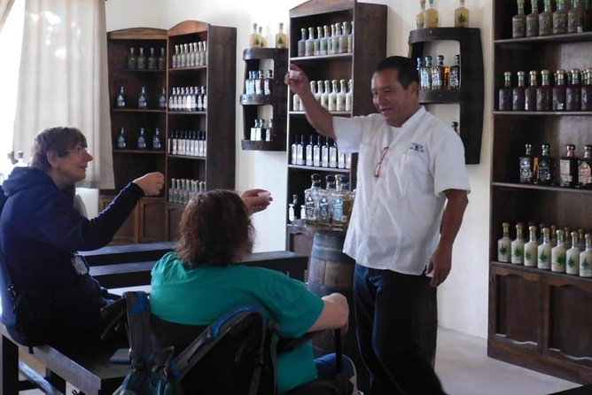 Power Snorkel by Sea Scooter & Flavored Tequila tasting - The Mayan presentation: culture before you taste anything