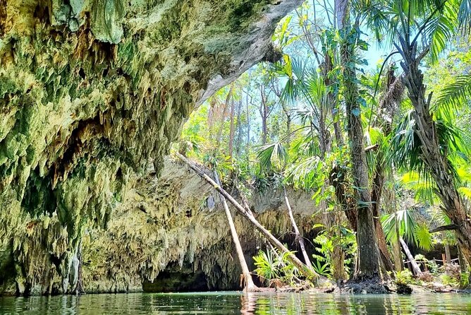 Private Buggy & ATV Tour to Jade Cavern Cenote: All-Inclusive - How the private buggy and ATV day flows from the cruise pier