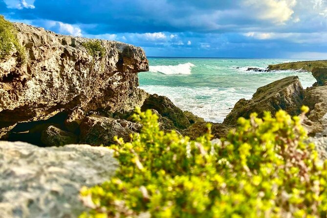 Private Buggy & ATV Tour to Jade Cavern Cenote: All-Inclusive - Hotel Hacienda Ixtlan tequila seminar: 8 varieties in 30 minutes