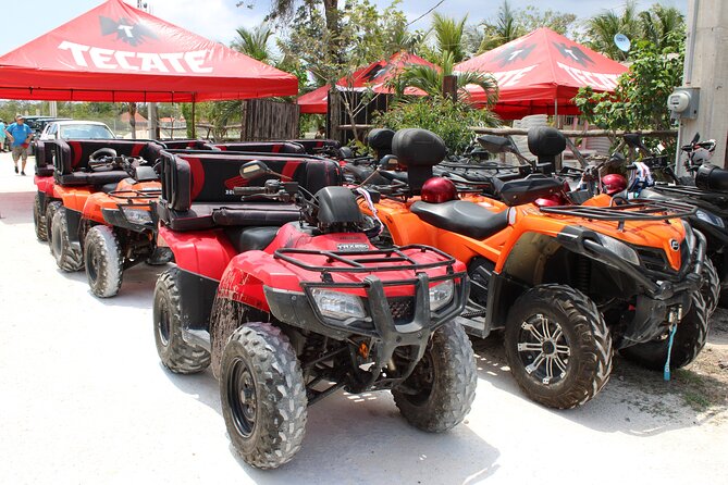 Private Buggy & ATV Tour to Jade Cavern Cenote: All-Inclusive - Skyreef Beach Club snorkeling: shore reefs with a guide, not a random swim
