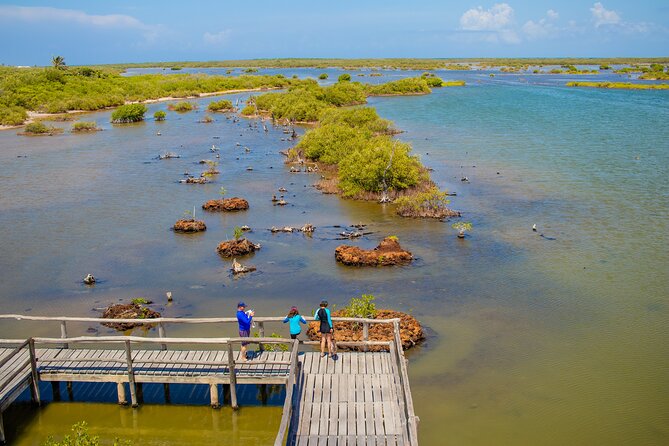Private Buggy Tour and Punta Sur Park: All-Inclusive - Sabores Cozumel: Tequila Seminar, Chocolate Tour, and What to Watch