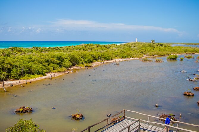Private Buggy Tour and Punta Sur Park: All-Inclusive - Vehicle Reality Check: What to Confirm for a Safer, Smoother Ride