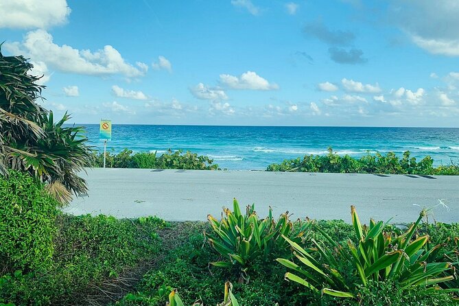 Private Buggy Tour in Cozumel, Snorkel & Lunch: All Inclusive - Skyreef Beach Club snorkeling: guided shore reefs with everything included