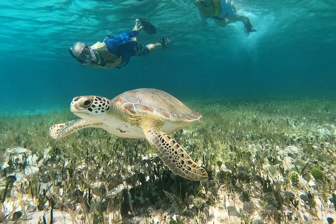 Private Cozumel Jeep and Jade Cavern Cenote Tour - Lunch, cooler drinks, and snorkel gear: the practical value