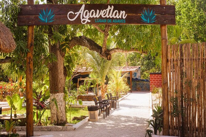 Private Jeep and 4x4 Polaris RZR Tour with Mexican Lunch - Quiet break at Playa San Martín