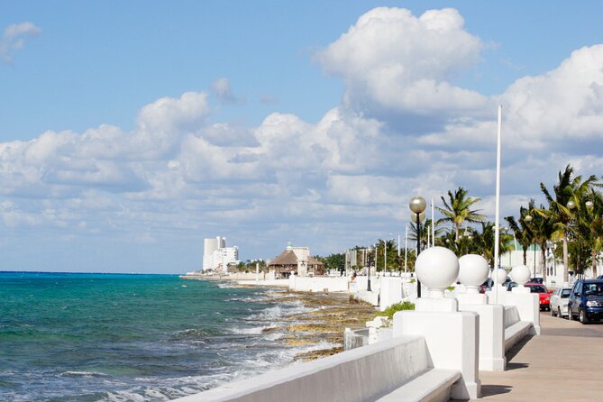 Private Jeep and 4x4 Polaris RZR Tour with Mexican Lunch - Sabores de Cozumel Park: RZR off-road plus hands-on food and drink lessons