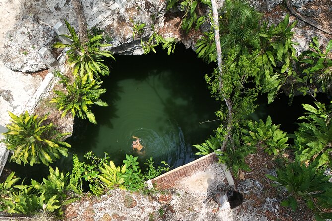 Private Jeep Cenotes Expedition in Cozumel – Swim & Mayan Park - Key highlights worth circling