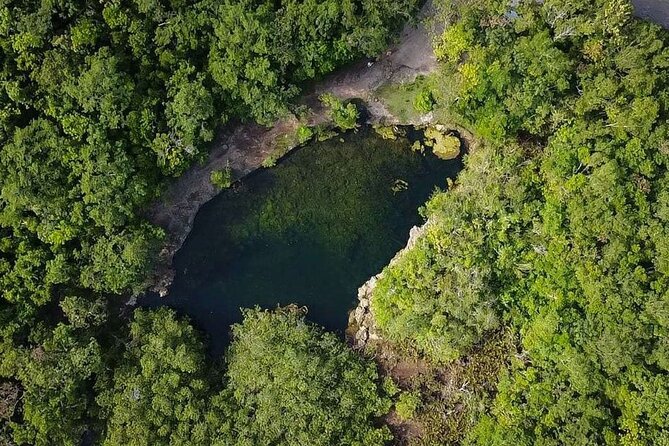 Private Jeep Cenotes Expedition in Cozumel – Swim & Mayan Park - Price and logistics: what $99 gets you (and what to plan around)