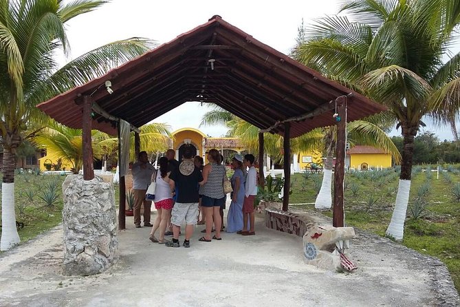 Private Jeep Excursion in Cozumel with Lunch and Snorkeling - Guides: the difference between a good day and a great one