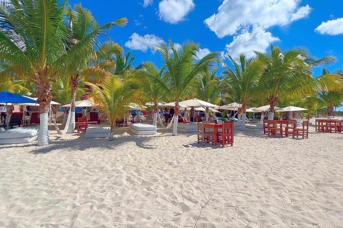 Private Jeep or Buggy Tour Snorkeling Maya Park and Tacos - Tequila, Honey, and Chocolate Tastings: What You Actually Get
