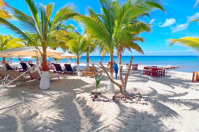 Private Jeep or Buggy Tour Snorkeling Maya Park and Tacos - Practical Tips to Make Your Cozumel Day Run Smoothly