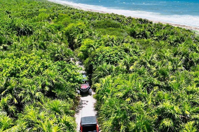 Private Jeep & Polaris RZR: San Gervasio Mayan Ruins & Snorkeling - Sabores Cozumel: chocolate tasting and a tequila seminar that sticks with you