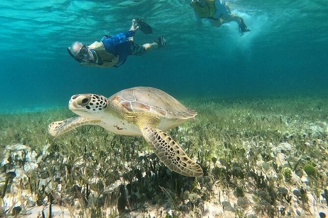 Private Jeep Tour & ATV to Jade Cavern Cenote: All Inclusive - Stop 1: Skyreef Beach Club snorkeling with a certified guide