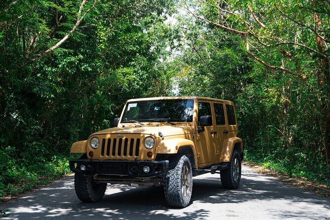 Private Jeep Tour Full Experience and ATV with Caverns & Cedral - El Cedral and the ATV jungle ride toward caves and cenotes