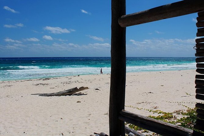 Private Jeep Tour in Cozumel - Price and value: is $191.17 per person fair?