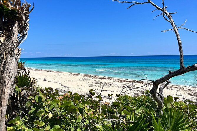 Private Mayan Ruins Tour with Cenote/caves and Mexican Picnic - Stop 5: Cenote Aerolito de Paraiso with swim time and included admission