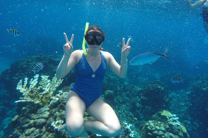 Private Sky Snorkeling Tour - Private Cozumel snorkeling, without the big-group headache