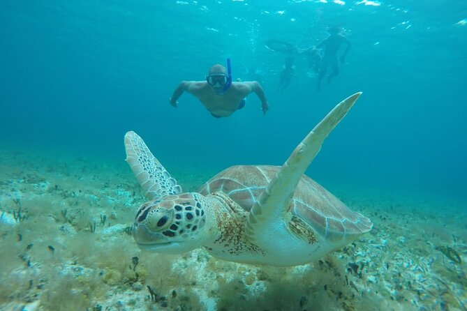 Private Sky Snorkeling Tour - Stop 2: Columbia Reef for more fish and coral variety